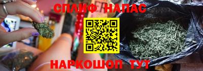 мяу мяу мука Партизанск