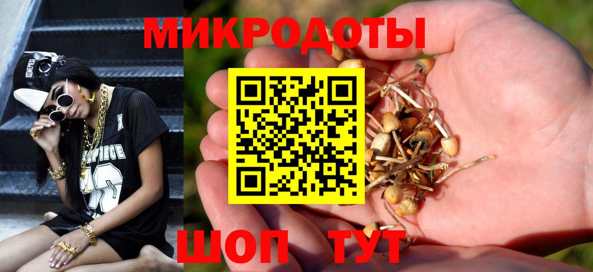 Псилоцибиновые грибы Magic Shrooms Рузаевка